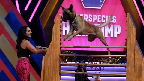 World Pet Games | Watch the Special Online on FOX